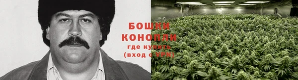бошки Богданович