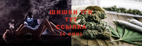 бошки Богданович