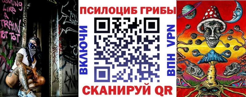 Галлюциногенные грибы мицелий  Тобольск 